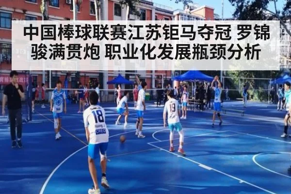 中国棒球联赛江苏钜马夺冠 罗锦骏满贯炮 职业化发展瓶颈分析